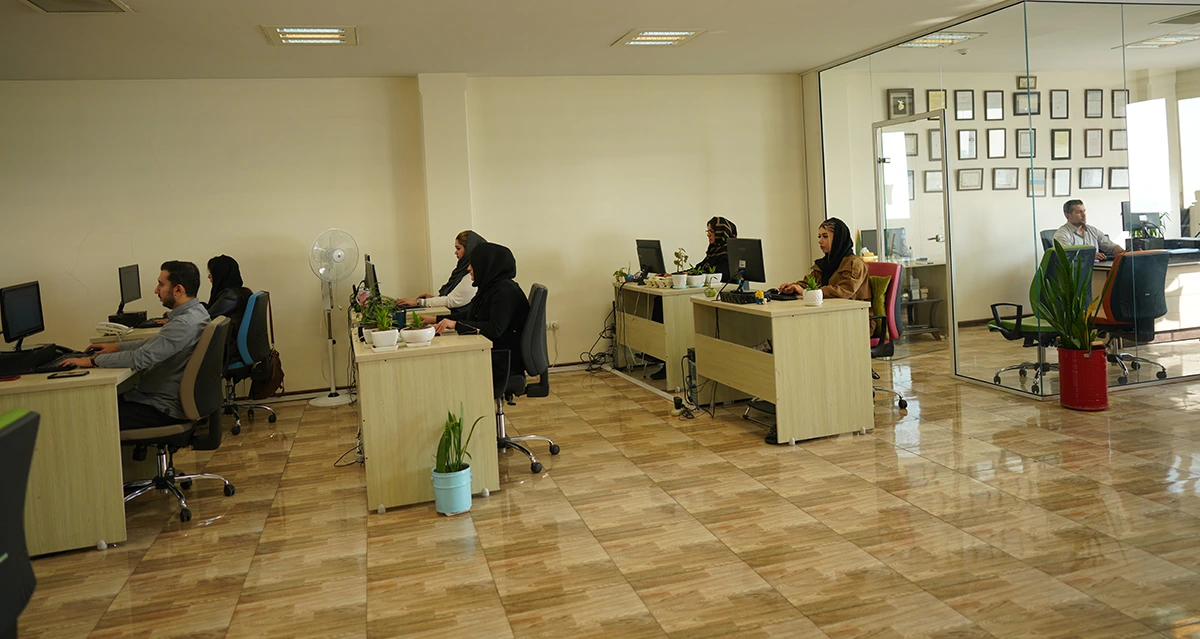 تخصص های مورد نیاز برای طراح وب سایت